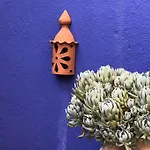 Apartament Charming Terrace Flat Center And Trendy Location