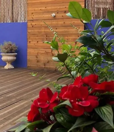 Apartment Charming Terrace Flat Center And Trendy Location *