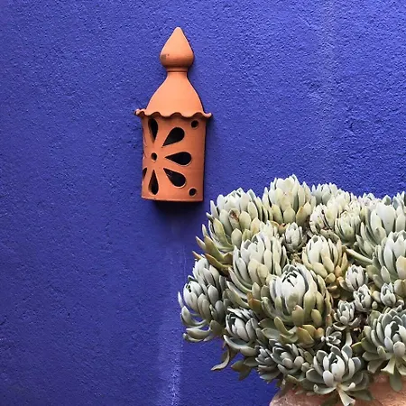 Charming Terrace Flat. & Trendy Location. * Lisboa