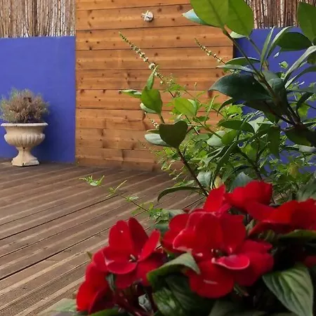 Apartmán Charming Terrace Flat. & Trendy Location. *