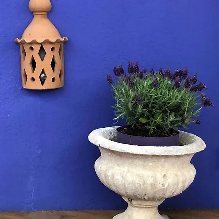 Apartmán Charming Terrace Flat. & Trendy Location.