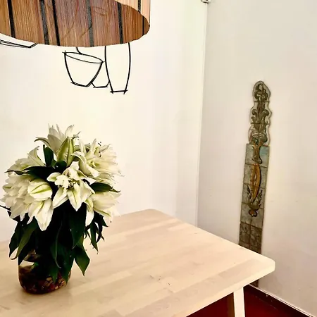 Charming Terrace Flat. & Trendy Location. Lisboa