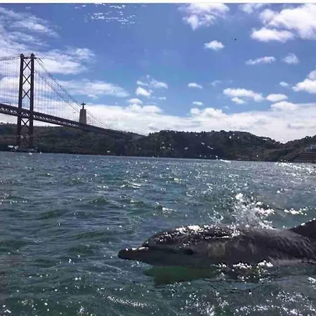 Charming Terrace Flat Center And Trendy Location Διαμέρισμα *