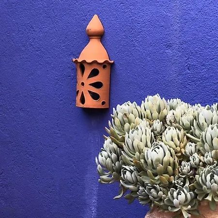 Διαμέρισμα Charming Terrace Flat Center And Trendy Location